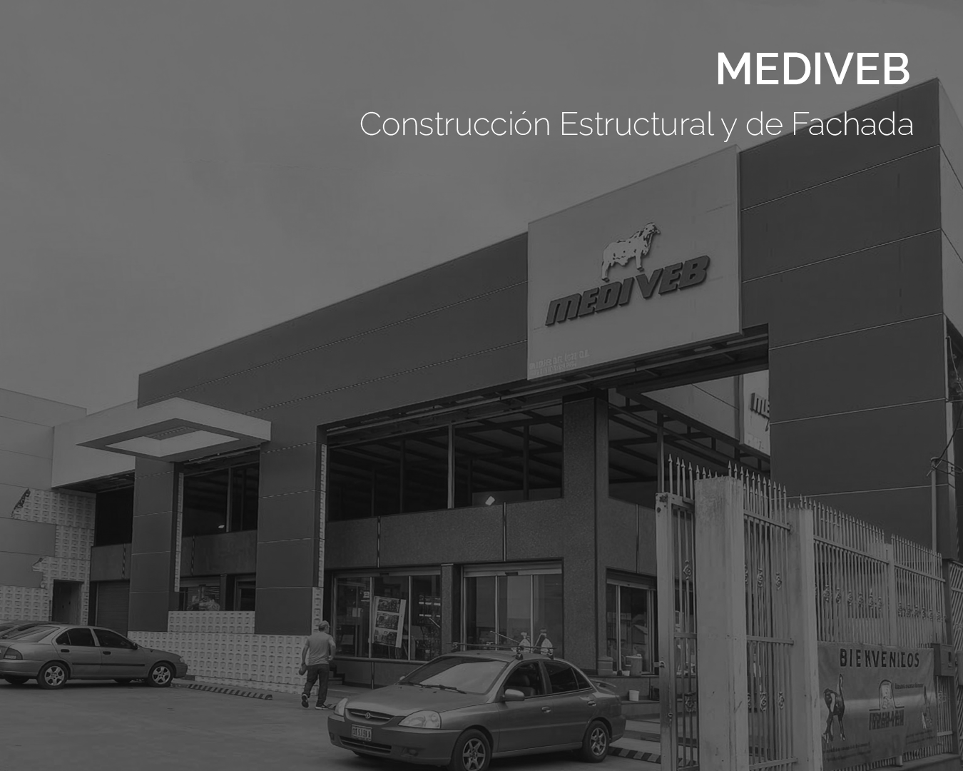 MEDIVEB s
