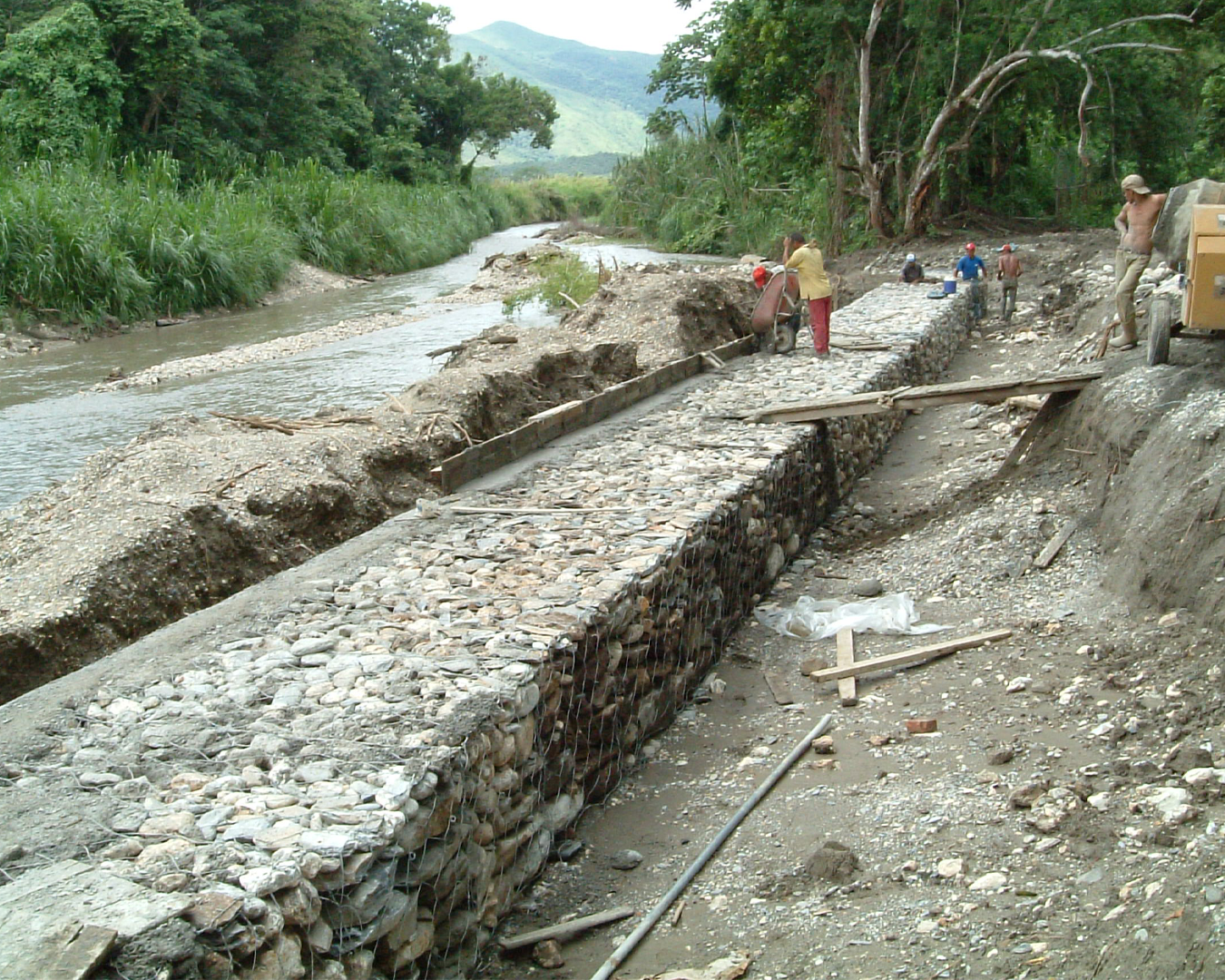 SEAGRAM GAVION-4